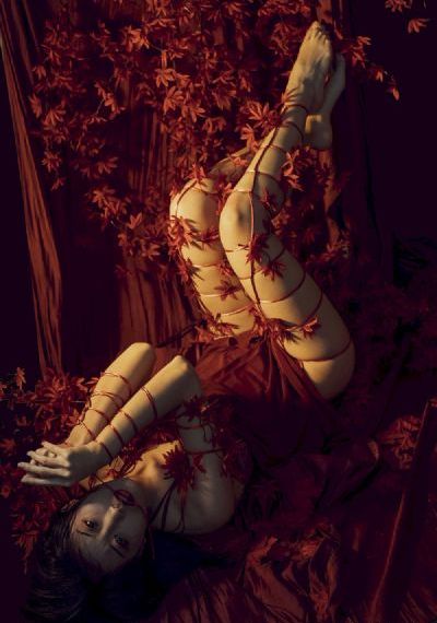 憧憬成为魔法少女第二季动画
